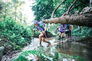 BIB: 
                            <button type="button" onclick="openModal(25444325)" class="btn btn-primary btn-sm float-right btn-popup" data-toggle="modal" data-target=".modal-high-quality">
                        <i class="fas fa-shopping-cart"></i> Add to Cart
                    </button>
                                            <button type="button" onclick="isThisMe(25444325, true)" class="btn btn-success btn-sm float-right btn-popup btn-isme hidden" data-toggle="tooltip" data-placement="bottom" title="นี่คือรูปของคุณใช่ไหม คลิกที่นี่เพื่อเอาเข้าอัลบั้ม">
                        <i class="fas fa-plus"></i> Add to album
                    </button>
                    <button type="button" onclick="isThisMe(25444325, false)" class="btn btn-warning btn-sm float-right btn-popup btn-isnotme hidden">
                        <i class="fas fa-ban"></i> Remove from album
                    </button>